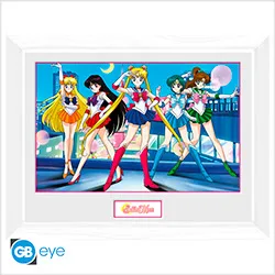 Sailor Moon Framed Print Group (30x40)