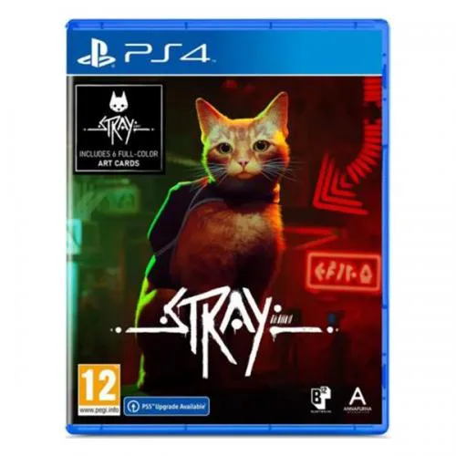 Stray