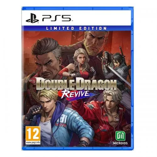 Double Dragon Revive - Limited Edition