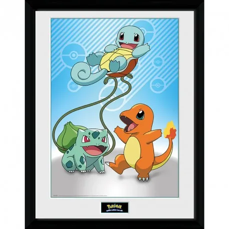 Pokemon Framed Poster - Kanto Starters