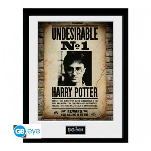 Framed Poster Harry Potter : Undesirable No 1